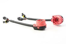 Load image into Gallery viewer, BRI Source D2S to AMP Ballast Adapters