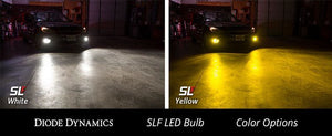 Diode Dynamics SLF - LED Fog-Light Bulbs